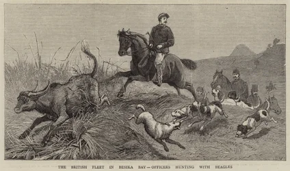 Die britische Flotte in der Besika-Bucht, Offiziere jagen mit Beagles